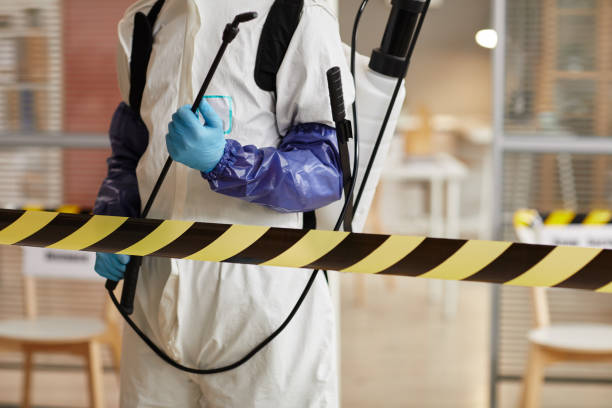 Professional Sewage Cleanup technician working in Monitor, WA